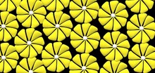 3d Illustration Composed Of Stylized Yellow Flowers