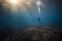 Male Underwater Photographer Looking Down Toward Sea Bed, Exuma, Bahamas