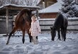 Beautiful little girl walks next to a bay horse in winter