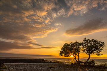 Poster - USA, Hawaii, Wawaloli Beach Park. Ocean beach at sunset.