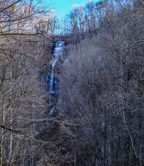 Sticker - Amicalola Falls in Winter Trees