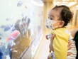 © DUSITARA STOCKER - A cute little Asian baby girl wearing face mask looks at fish in a fish tank. COVID-19 concept