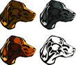 A set of heads from 4 hunting dogs (poiter, kurzkha, leg, sn out, weimaraner) 
A set of drawings for the dog muzzle logo