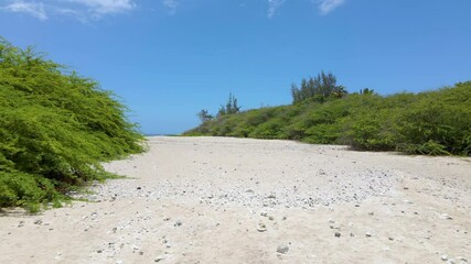 Wall Mural - Surf spot of Trois bassins Reunion island, drone footage from beach to reef