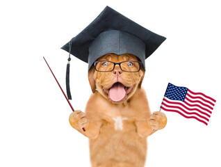 Poster - Graduated dog wearing graduate cap holds American (USA) flag in it paw and points away on empty space. isolated on white background