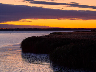 Poster - Lichtstimmung am Bodstedter Bodden bei Zingst am Abend, Nationalpark Vorpommersche Boddenlandschaft, Mecklenburg-Vorpommern, Deutschland