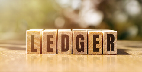 Word LEDGER made with building wooden blocks on table in sunlight.