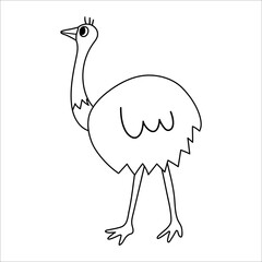 Vector black and white ostrich icon isolated on white background. Cute African bird line illustration for kids.