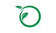 green eco leaf circle logo