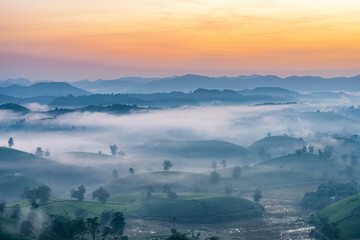 Poster - Sunrise in Tea hills in Long Coc highland, Phu Tho province in Vietnam