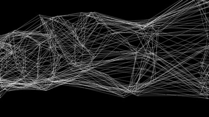 Poster - Wireframe of many thin white lines in the dark, computer generated. 3d rendering of abstract shape and backgdrop