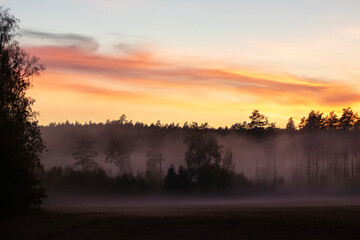 Wall Mural - sunrise over the river