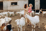 Fototapeta Zwierzęta - Happy mother and her daughter spend time on an eco farm among goats.