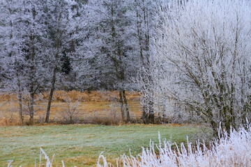 dramatic country landscape cold and frosty  day stock photo