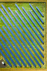 Wall Mural - Alternative energy in Poland. Solar panels on field. Aerial view