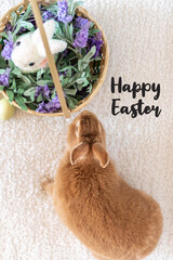 Poster - Rufus Rabbit next to Easter Basket filled with purple lilac flowers and Easter Bunny top view portrait and Happy Easter text