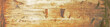 Vintage and rustic wood panorama, full of character, grain, knots, for design, headers, banners.