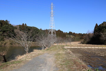 田舎の景色