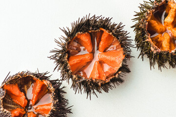 Fresh sea urchins (ricci di mare) or uni on the white background, close-up, macro. Delicious seafood from southern Italy and Spain, rich in iodine, vitamins, gomarin, carnitine and dopamine