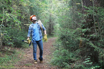 Wall Mural - Male lumberjack in the forest. A professional woodcutter inspects trees for felling.