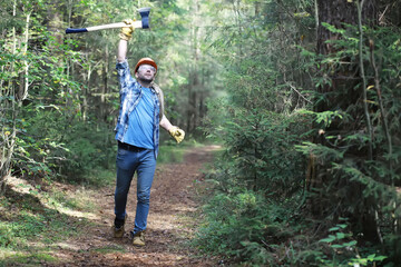 Poster - Male lumberjack in the forest. A professional woodcutter inspects trees for felling.