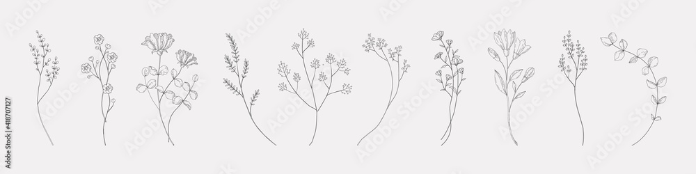 Botanical drawing. Minimal plant logo, meadow greenery, leaf and blooming flower abstract sketch element collection, linear rustic branch. Vector hand drawn wedding invitation bouquet decoration set - obrazy, fototapety, plakaty 