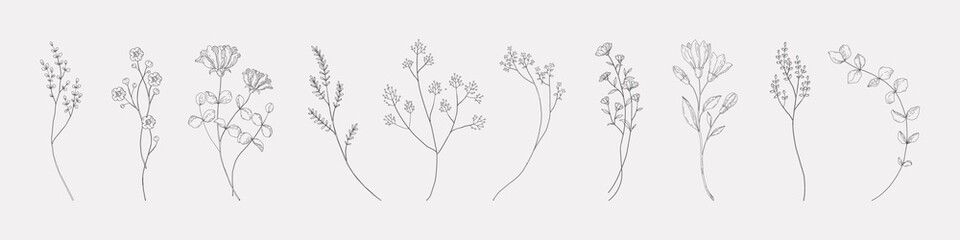 botanical drawing. minimal plant logo, meadow greenery, leaf and blooming flower abstract sketch ele