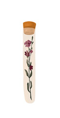 Flowers in a test tube. Illustration on white isolated background 