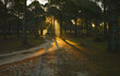 © Raw2Cut - sunset in the park