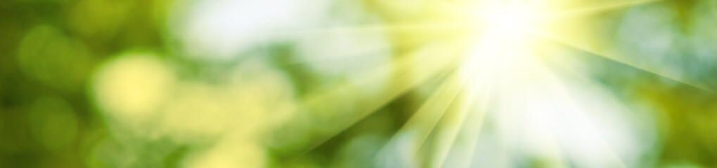 Wall Mural - Abstract natural image, sun rays, green blurred background. Horizontal image bright sun on blurred natural background.