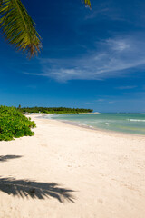 Poster - sea and beach background with copy space