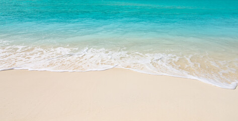 beach and tropical sea . nature background