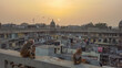 © Elena Sviridova - Sunset meeting on the roof of the spice market in Chandni Chowk. New Delhi, India