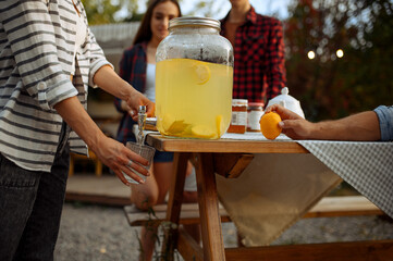 Wall Mural - friends drinks lemon beverage on picnic at camping