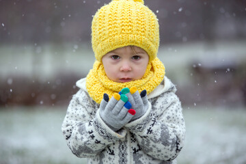 Poster - Beautiful blond toddler child, boy, with handmade knitted sweater playing in the park with first snow