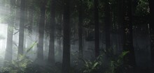Foggy Morning In A Pine Forest, Light Through The Trees, Forest In The Haze, Morning Park In The Smoke, Rays Of Light In The Branches, 3d Rendering