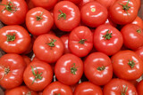 Fototapeta Kuchnia - A lot of red tomatoes close up