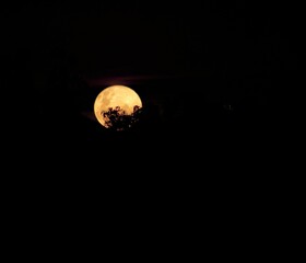 moon in the sky