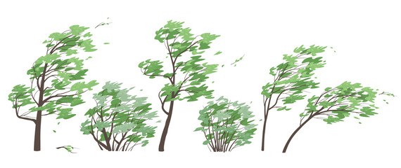 Wall Mural - Set of Trees and Bushes in Windy Weather