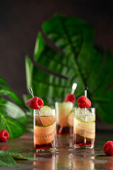 Wall Mural - Set of cocktails in shot glasses with cucumber,berry liqueur and raspberries on dark background with reflection and palm leaves.Recipe,bar menu.Close up,selective focus.