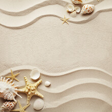 Summer Concept: Sandy Beach Background With Seashells. Copy Space For Text
