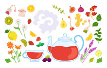 Hot Tea Herbs And Fruits Cartoon Set. Teapot, Cup Tea Time. Medical Healthy Herbal Tea Transparent Kettle. Hand Drawn Collection Tea Ingredients, Chamomile, Lavender Pear, Strawberry And Ginger Vector