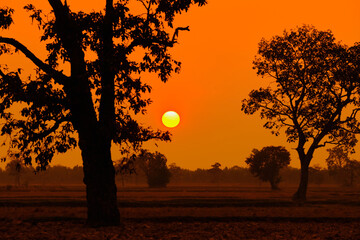 Wall Mural - sunset, sunrise sky morning bright, beautiful summer
