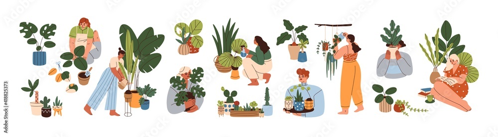 Set of happy women caring about interior potted plants isolated on white background. Home gardening and growing houseplants. Colored flat vector illustration of trendy people with house greenery - obrazy, fototapety, plakaty 