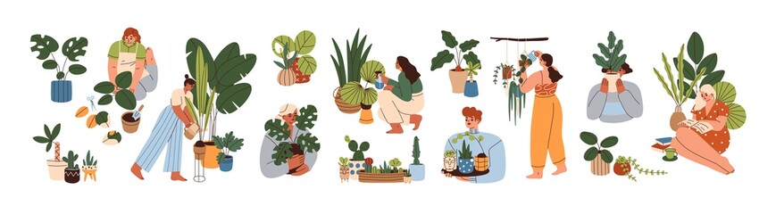 Wall Mural - Set of happy women caring about interior potted plants isolated on white background. Home gardening and growing houseplants. Colored flat vector illustration of trendy people with house greenery