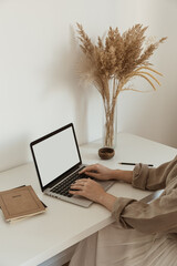 Wall Mural - Young woman work on laptop computer with blank display screen with mockup copy space. Modern home living room interior design. Work at home concept. Girl boss, lady boss..