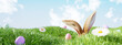 Easter landscape, rabbit ear with colorful eggs and daisy flower on meadow under beautiful sky. 3d rendering