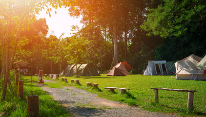 Wall Mural - morning sunlight on surface of various field tents group on green lawn in campsite area at natural p