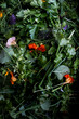 © Mint Images - High angle close up of bunch of fresh herbs and edible flowers.