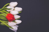 Fototapeta Tulipany - white tulips and one red tulip lie on a black background, matte filter
